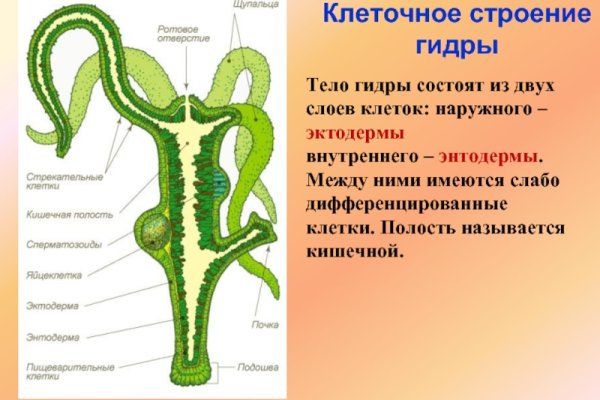 Kraken настоящая ссылка