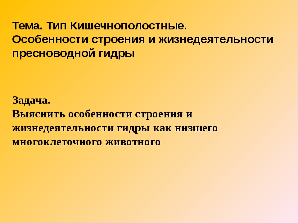 Кракен даркнет в тор