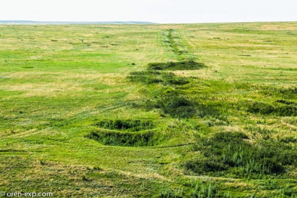 Кракен 12 сайт