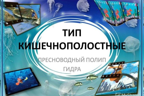 Кракен клир ссылка