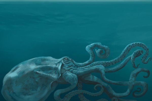 Кракен даркнет kraken link24 info