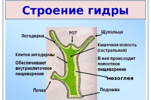 Не могу зайти на сайт кракен