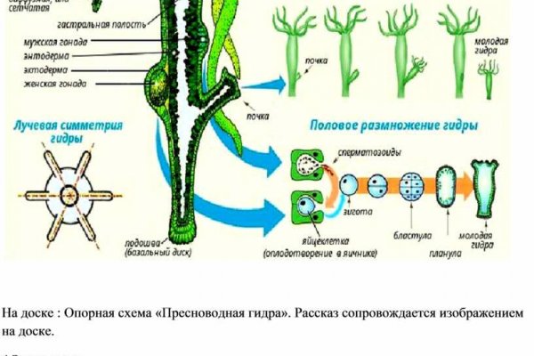 Оригинальная ссылка на магазин кракен