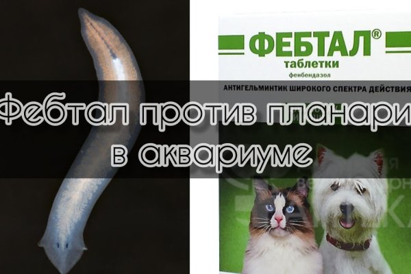 Ссылка кракен cc